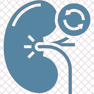 Kidney Transplant Surgeon Delhi