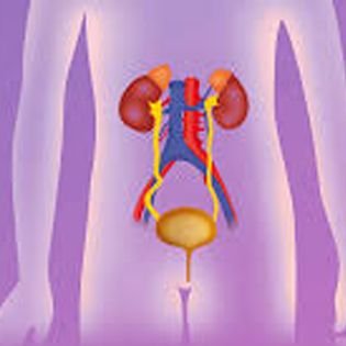 Major Ureter Reconstruction