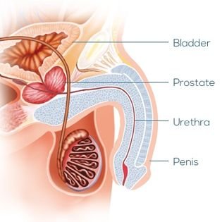 Urethral Stricture Treatment