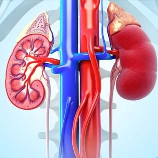 Kidney Cancer Treatment in Delhi